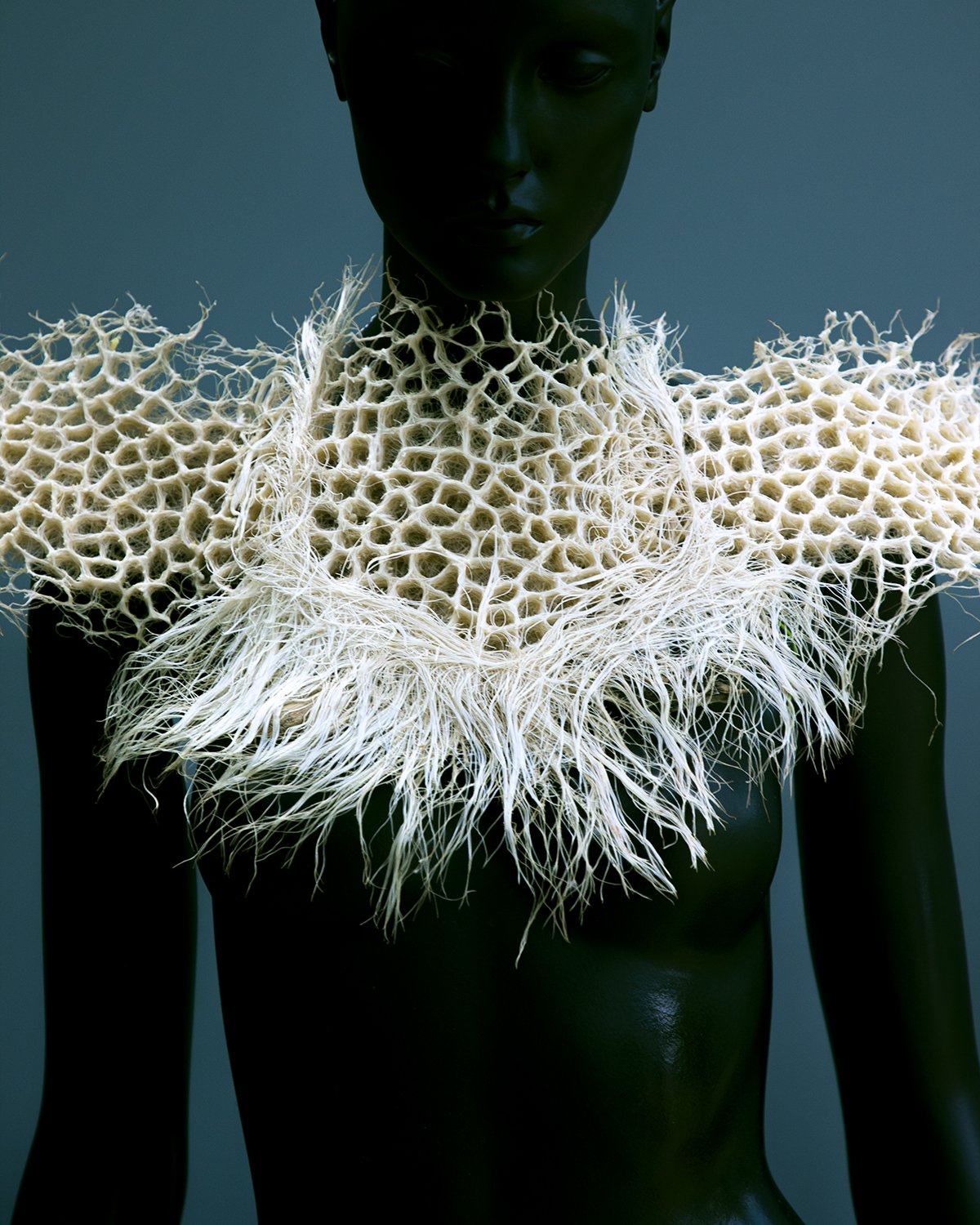 White collar grown from root, inspired by coral by Zena Holloway